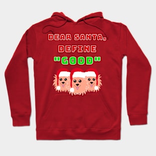 Dear Santa, Define Good Hoodie